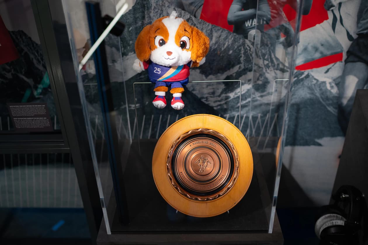 FIFA_Heretoplay(15of27)